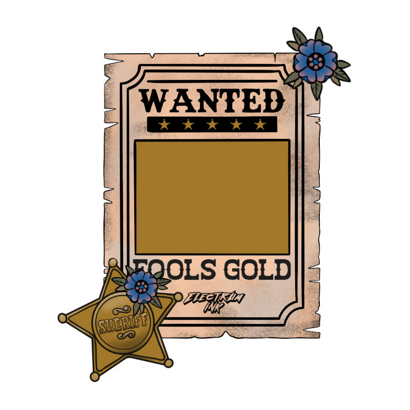 Electrum Ink 8 Colour Cowpoke Set