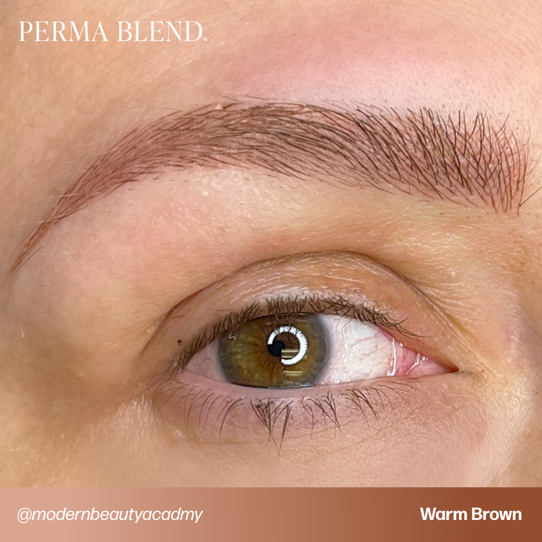 Perma Blend Warm Brown Pigment