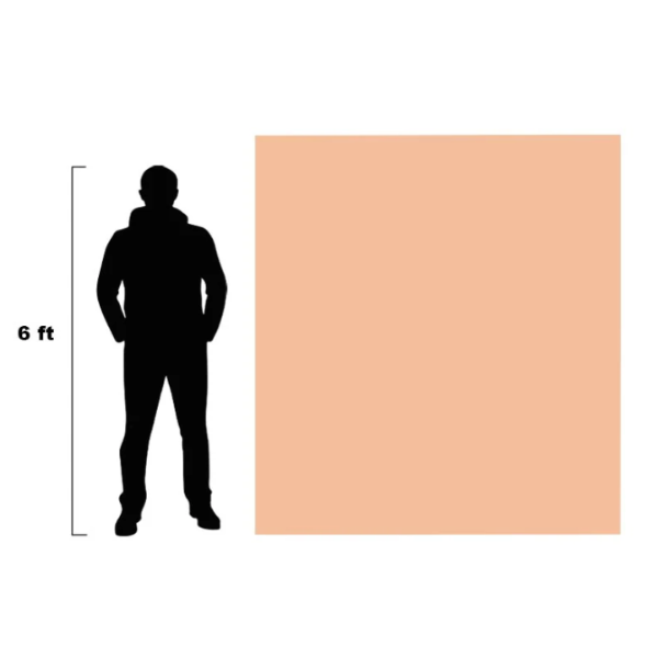 A Pound of Flesh Fitzpatrick Tone 2 6.6' x 5.9' Canvas Practice Skin