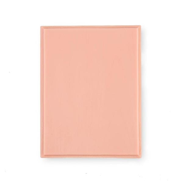 A Pound of Flesh Fitzpatrick Tone 2 Rectangular Plaque Practice Skin