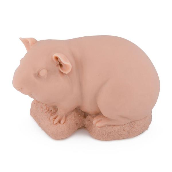 A Pound of Flesh Guinea Pig Practice Skin
