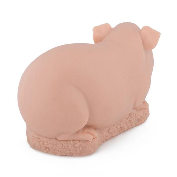 A Pound of Flesh Guinea Pig Practice Skin