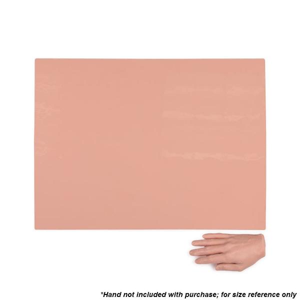 A Pound of Flesh Fitzpatrick Tone 2 16"x24" Canvas Practice Skin