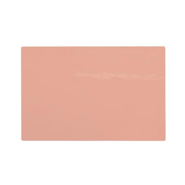 A Pound of Flesh Fitzpatrick Tone 2 11"x17" Canvas Practice Skin