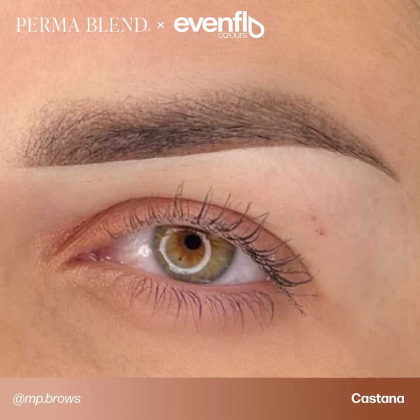 Perma Blend Evenflo Blonde 2 Brunette EU REACH Formula Box Set