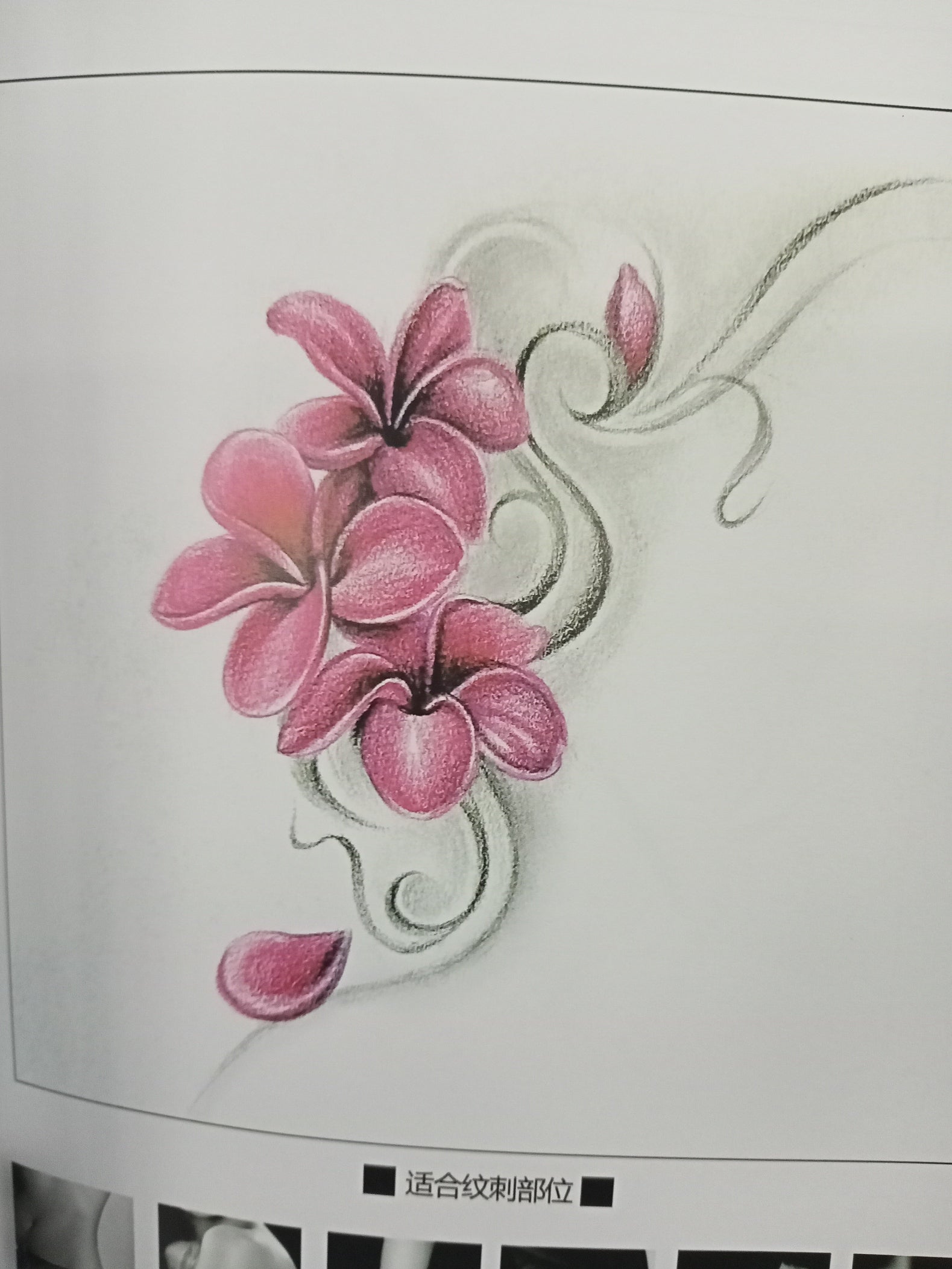 Women Tattoo