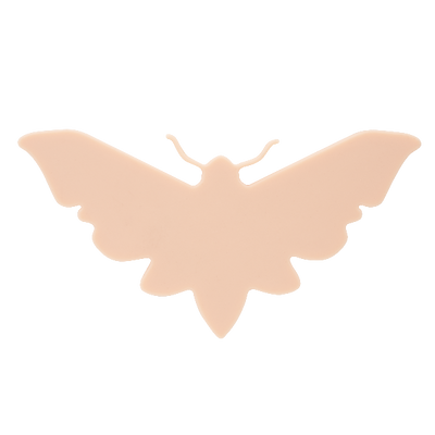 A Pound of Flesh Fitzpatrick Tone 2 Micro Moth Practice Skin