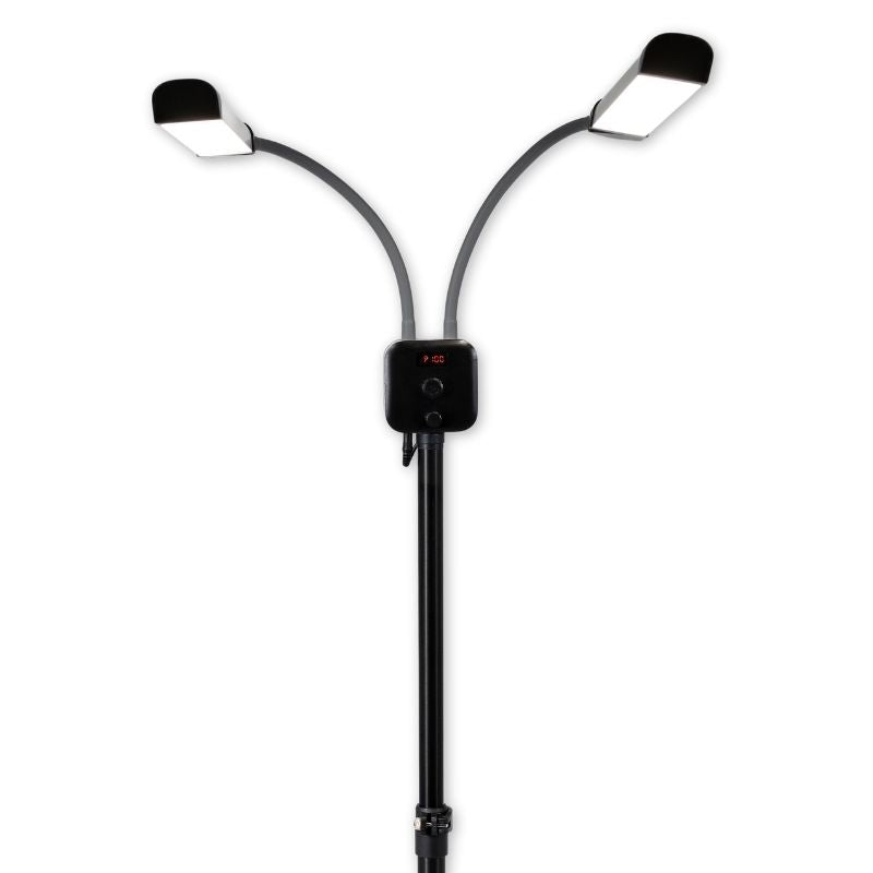 Luxe Illume Nova Double Arm Lamp