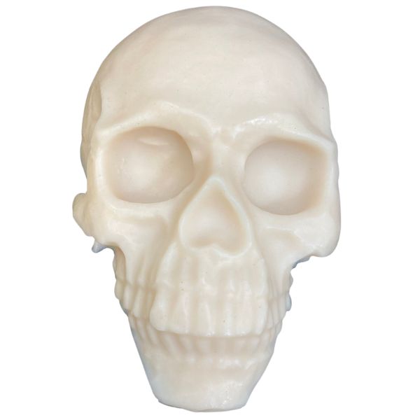 Reelskin Practice Skin Skull