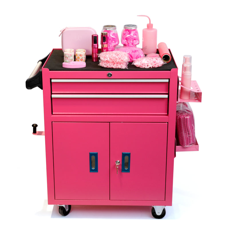 Deluxe Pink Cabinet Workstation
