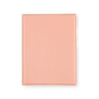 A Pound of Flesh Fitzpatrick Tone 2 Rectangular Plaque Practice Skin