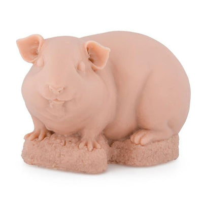 A Pound of Flesh Guinea Pig Practice Skin