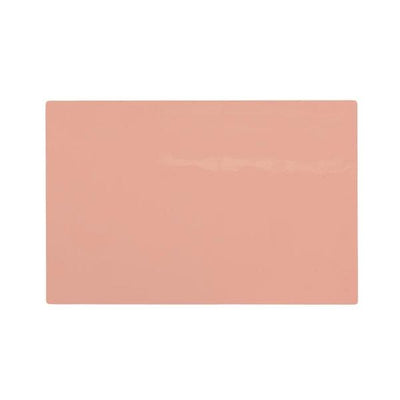 A Pound of Flesh Fitzpatrick Tone 2 11"x17" Canvas Practice Skin