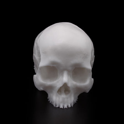 A Pound of Flesh Yorick Skull Practice Skin