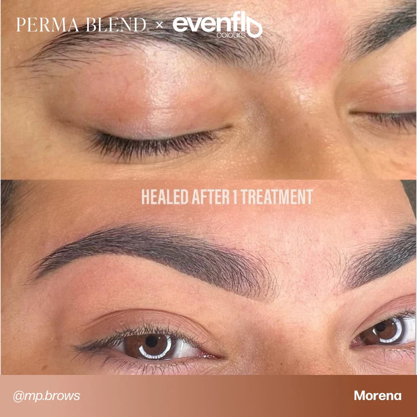 Perma Blend Evenflo Blonde 2 Brunette EU REACH Formula Box Set
