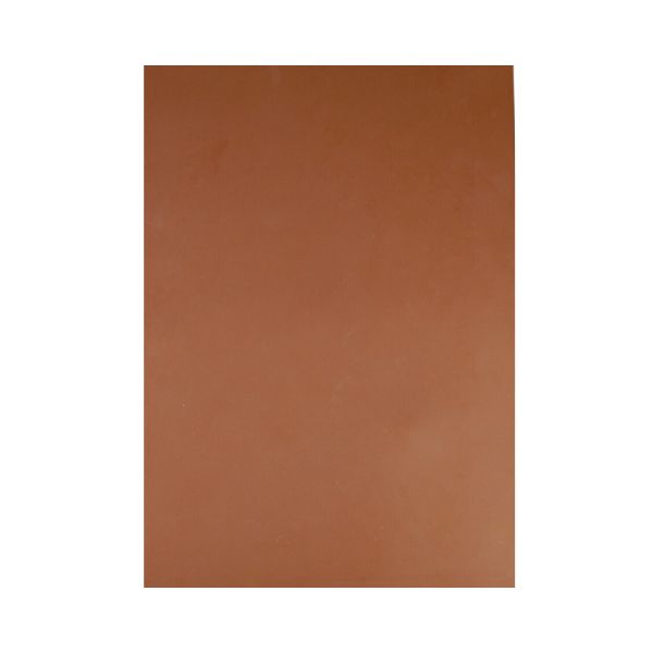 Reelskin Darker Tone Practice Skin A3 Sheet Brett Stewart Tattoo Supplies